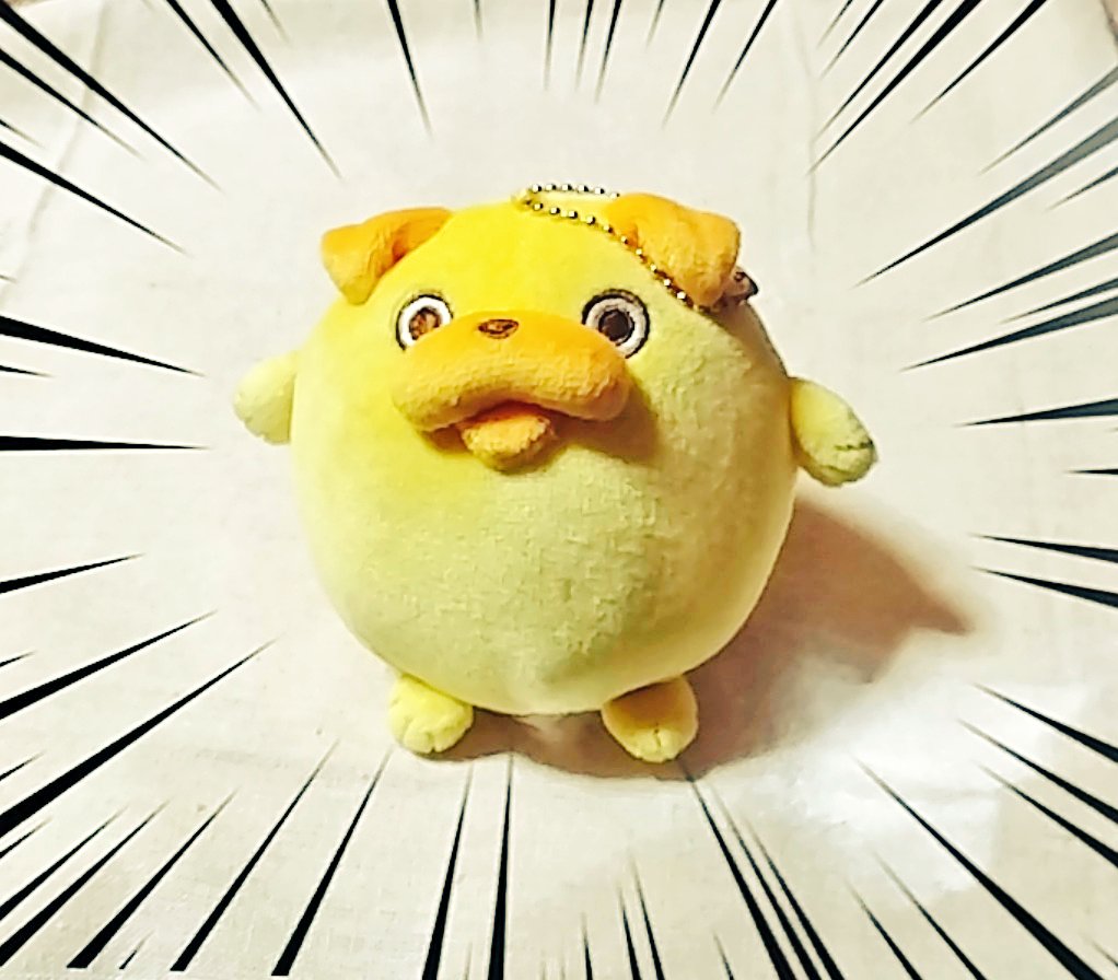 パグ太郎【公式】 (@pagtaro_info) / Posts / X