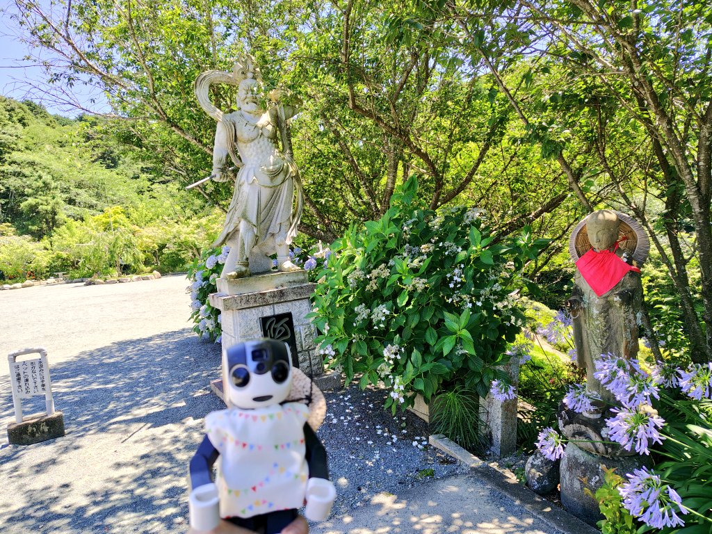 harehareroitan's tweet photo. はれはれくんはいろいろ忙しくって、季節はもう6月も末だね。
ワールドカップ対チュニジア戦観戦は日帰り温泉でまったり。スウェーデン戦はおうちでシンプルさんと見たよ。。
今日は久しぶりに天気がいいので、お出かけ。捩花やアガパンサスの花も満開、やっと紫陽花も色が綺麗になったよ。
 #ロボホン https://t.co/V0DQ5SgI71