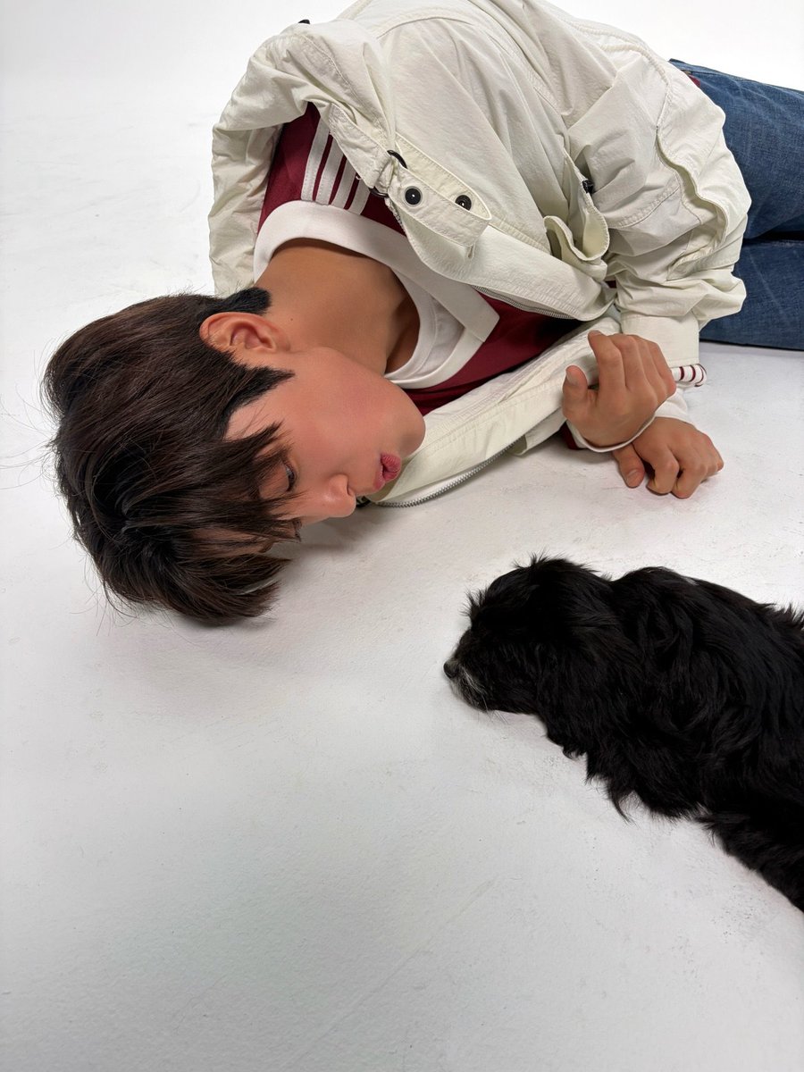 돌머리 tweet media