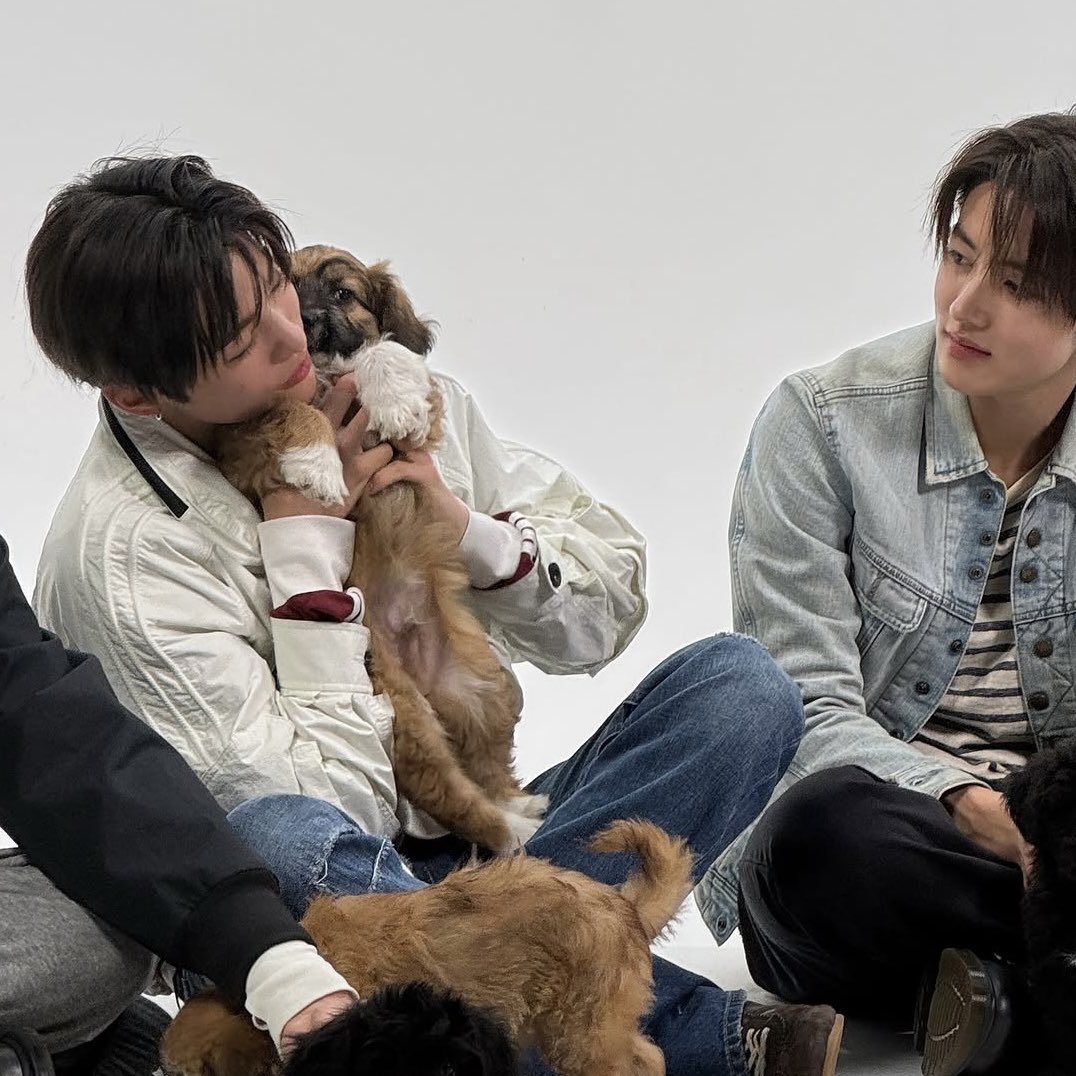 zva_naww's tweet photo. halo seonghyeon aku punya 2 pertanyaan ok?
1. itu yang kamu lihat puppy nya APA YANG BAJU PUTIH ITU YA?
2. itu kamu lihatnya pake mata APA PAKE PERASAAN YA? 

tolong di jawab ya bapak seonghyeon 🙏🏻🙏🏻 https://t.co/dfhUG3O0UV