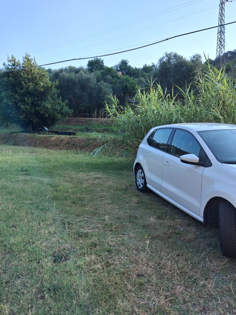 CaraccioloDaila's tweet photo. Buongiorno mattinieri della Domenica 😁🏞🏞🌲🍀🏡🐓🚜io già fatto 2passi qua...siamo tt a casa ..macchine al loro posto😉💪calma pace...tranquillità...nel verde assoluto....ora 22gradi...buona colazione con calma 🙋‍♀️☀️☀️☕️🥧🧁..e soprattutto serena Domenica a tt/e.. https://t.co/JGU2DGrTnV