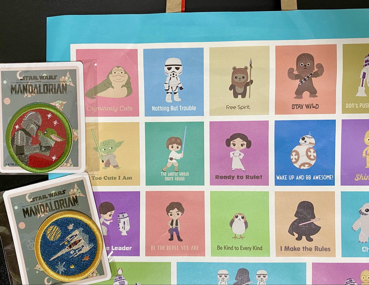 sagianpu's tweet photo. 先日、志木の波星社ギャラリーで買った「スター・ウォーズ100の言葉」
しかけ絵本になってて見てて楽しい✨
本編にグローグーは出てきませんが
かわいいネームタグ付き💚
ノベルティのワッペンいただけて
ラッキーでした！
紙袋もかわいい✨ https://t.co/nGwvLsMQh9