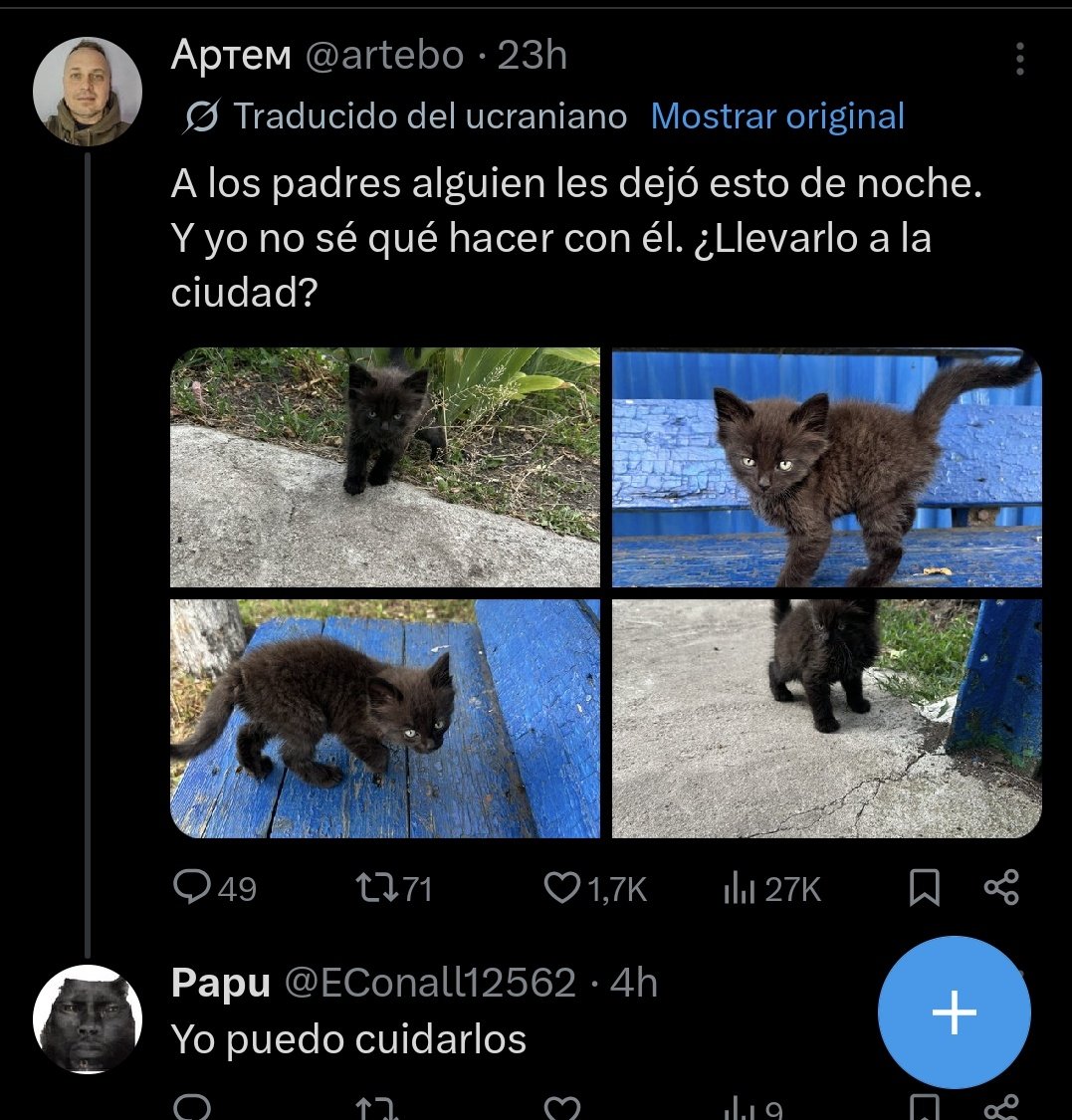 Neinei_art's tweet photo. 🆘 ALERTA 🆘 
ASESINO DE GATOS OFRECIENDO ACOGIDA Y ADOPCIÓN.

La misma cuenta que ayer os pedí que denuncieis por incitar a la violencia contra el odio y publicar fotos de maltrato animal MUY HEAVIS con intención de animar a la gente a matar gatos está escribiendo para que le den gatos en acogido o adopción.

Urgente que esto llegue a todas partes y que denuncieis la cuenta 🙏🏻

@elconall12562