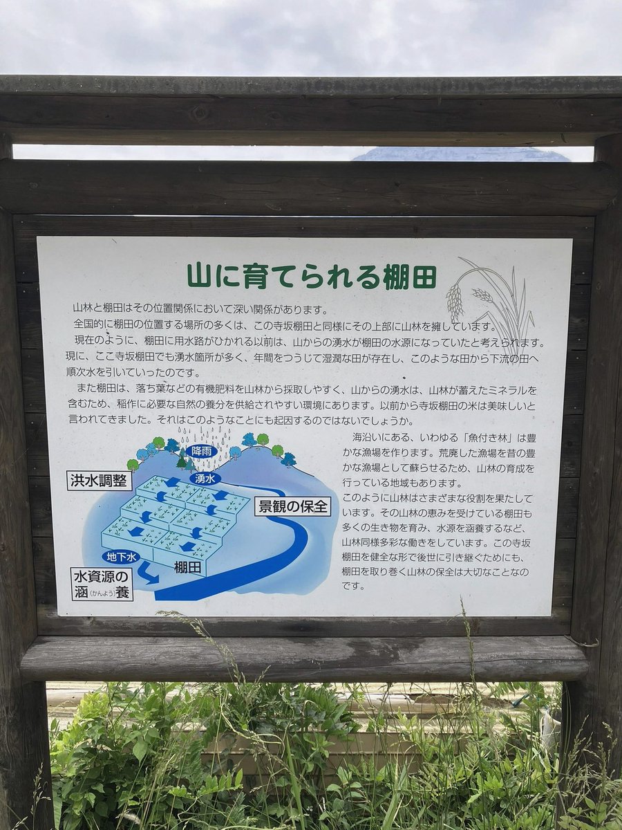 cuneydmur's tweet photo. 北浜キャピタル
会長レポートの凄さに気付いた人が大人買いしたのかな🤔✨
そりゃ大人買いもしたくなるよね😏 https://t.co/iQkKnpzeRH