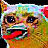 Marsloof's tweet photo. Shorty squelching on my shit in a way that is mildly concerning. https://t.co/sN1WfZzXXM