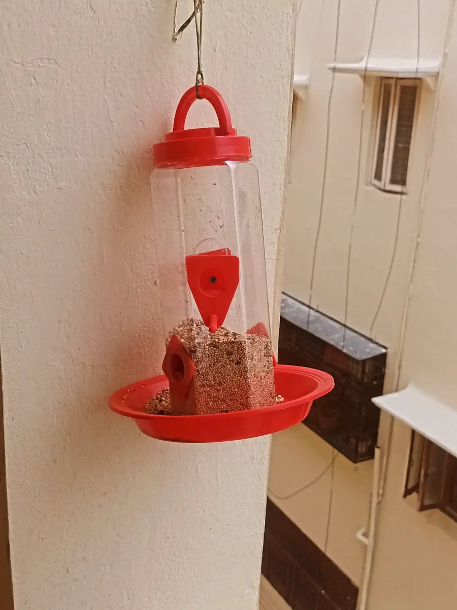 greencomrades's tweet photo. Birds deserve to be loved and fed. By making small efforts to feed the birds, we can bring life to many of them.Feeding the #bird is a very small but thoughtful gesture that can help them to survive.@Greenwaveses ๐ฆ ๐ฆโโฌ ๐ฆ ๐ฆ ๐ฆข #BirdNurturing #BirdFeeder #environment #nature https://t.co/qH7xIv3o7u