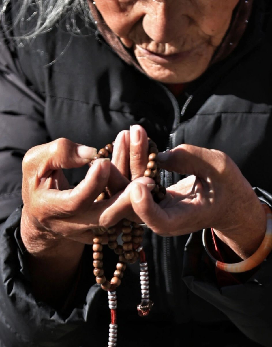 TaraSaveUs's tweet photo. The 7 Wealths of Noble Ones:
Faith: Trust in Karma &amp; Triple Gem
Discipline: Moral conduct
Learning: Studying Dharma
Generosity: Giving freely
Conscience: Inner self-respect
Consideration: Respecting others
Wisdom: Discernment of right &amp; wrong
Riches for this life and beyond. 🙏 https://t.co/gjuOAFuYrQ