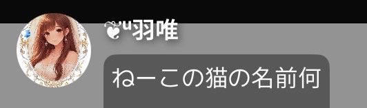 nfk2p's tweet photo. りつには難しかったみたい
@sp_rtrtrt https://t.co/DvNNp5GTgf