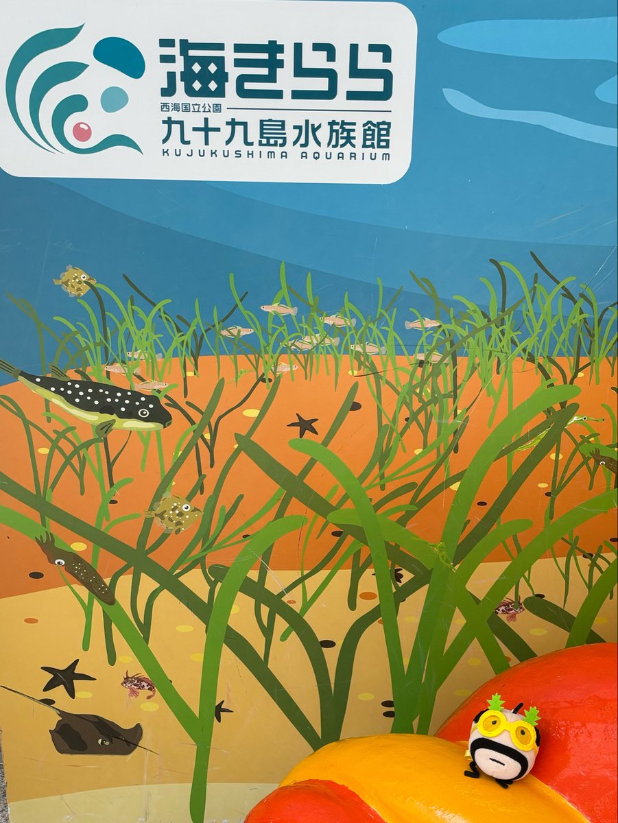 mtmrtmg97__'s tweet photo. (ᐡ-ᴗ-ᐡ)🐠🐢🪼✨️ https://t.co/dXbaIqOm0w