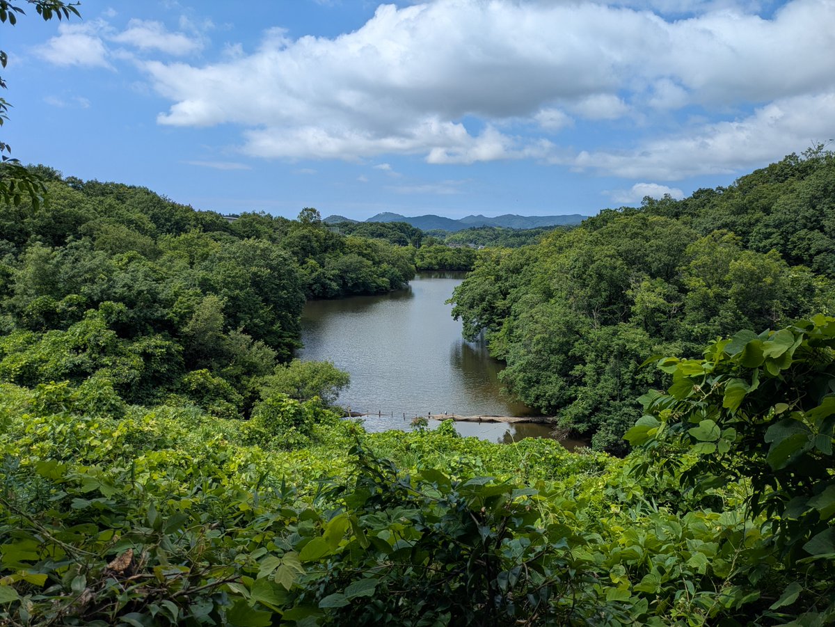 SHIGE_labo's tweet photo. 【地学実験・続報】

各班とも観測を続けています！
グラウンド🌞、緑道🌳、住宅街🏘️、水田🌿など、さまざまな場所でWBGTを測定中🌡
同じ地区内でも、気温や黒球温度、風速には意外な違いが！
現場で感じたことを数値で確かめます（*^^*）

#WBGT #気象観測 #熱中症 #公立鳥取環境大学 https://t.co/4iM3kKymXd