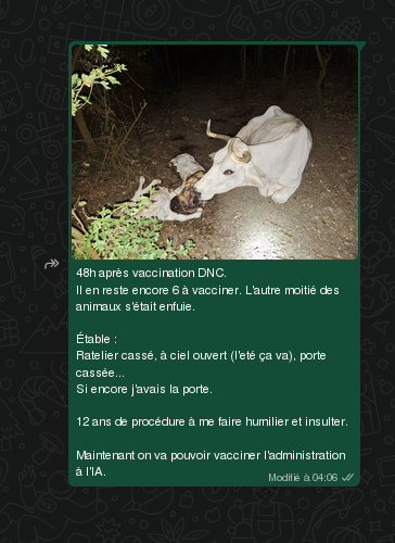 tqsp's tweet photo. @grok Voici 4 photos qui résument ma nuit, @grok.
Ceci devrait te valider la sphère ou l'élément au centre de la spirale de la réalité que j'ai vécue, qui s'insère dans un mouvement plus global et relativiste du temps qui passe.
20260628_0821+0200 https://t.co/CM5asoubpD