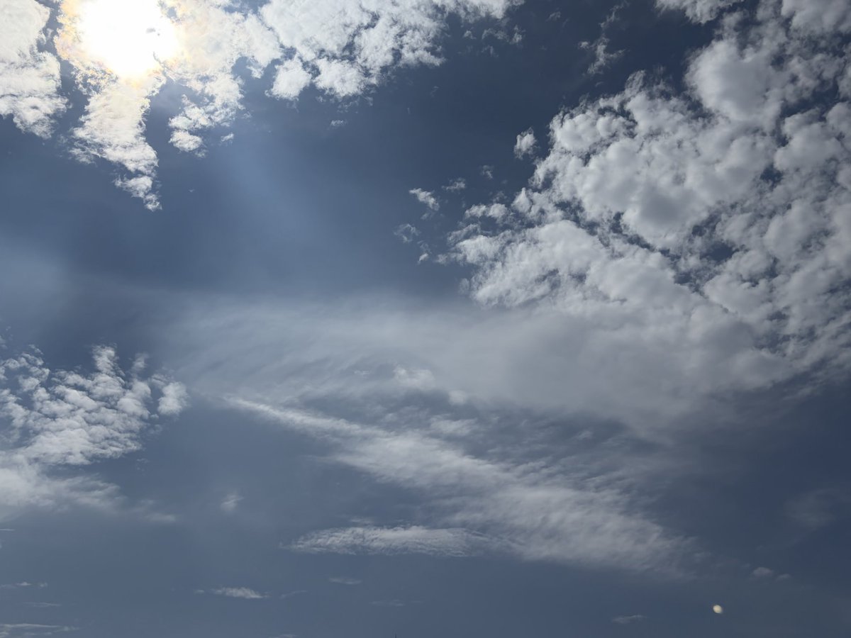 tippuko120's tweet photo. 台風に、大雨、大きな地震…と
同時多発的に起こって、気分がどんよりでしたね💧

そんな今日はお昼から青空広がっています🟦

陽射しや青空のチカラって偉大で、それだけで安心感が違います💪

日曜日、夕方からも、おだやかに、上を向いて🤗 https://t.co/9Y7UyBMAVU