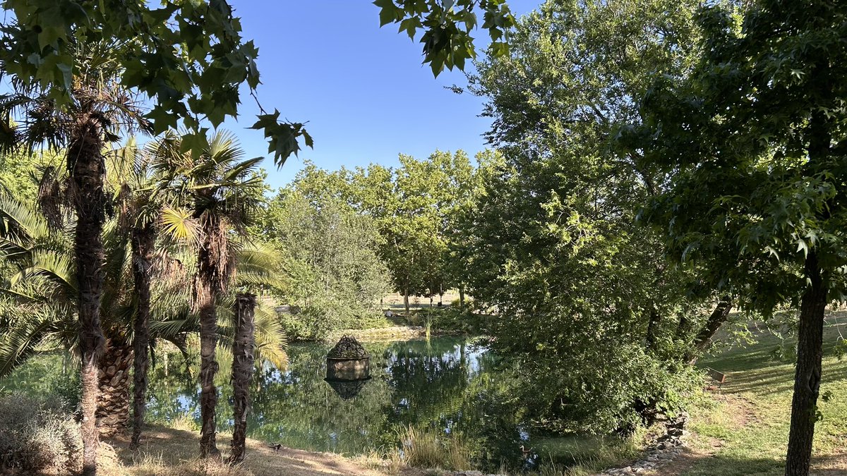 JCarloszapi's tweet photo. @VilaSilva No acierto en que parque de Madrid, pero en el de las Cruces… https://t.co/peKI3C3LfI
