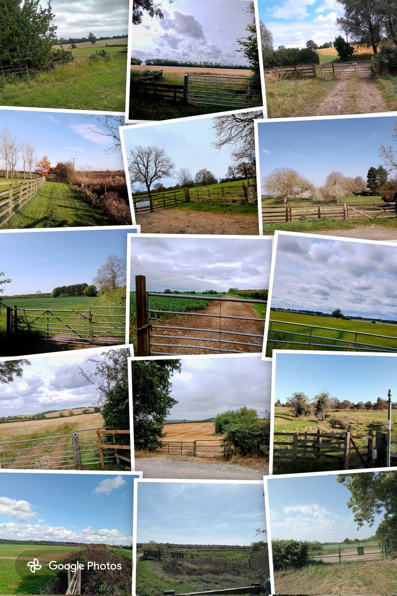 phil0073's tweet photo. Lotsa #Lovegates including 3 #CliffesDale* 4 #MawsleyLostVillage 6 on #Foxhall2HangingHoughton way 8 #Scrops* 10 near #RocklayHill*
12 #BartonSeagraveLostVillage.
*#FaxtonFields. #Northamptonshire #PhilOnaBike (archive) https://t.co/3OtNJDV81B