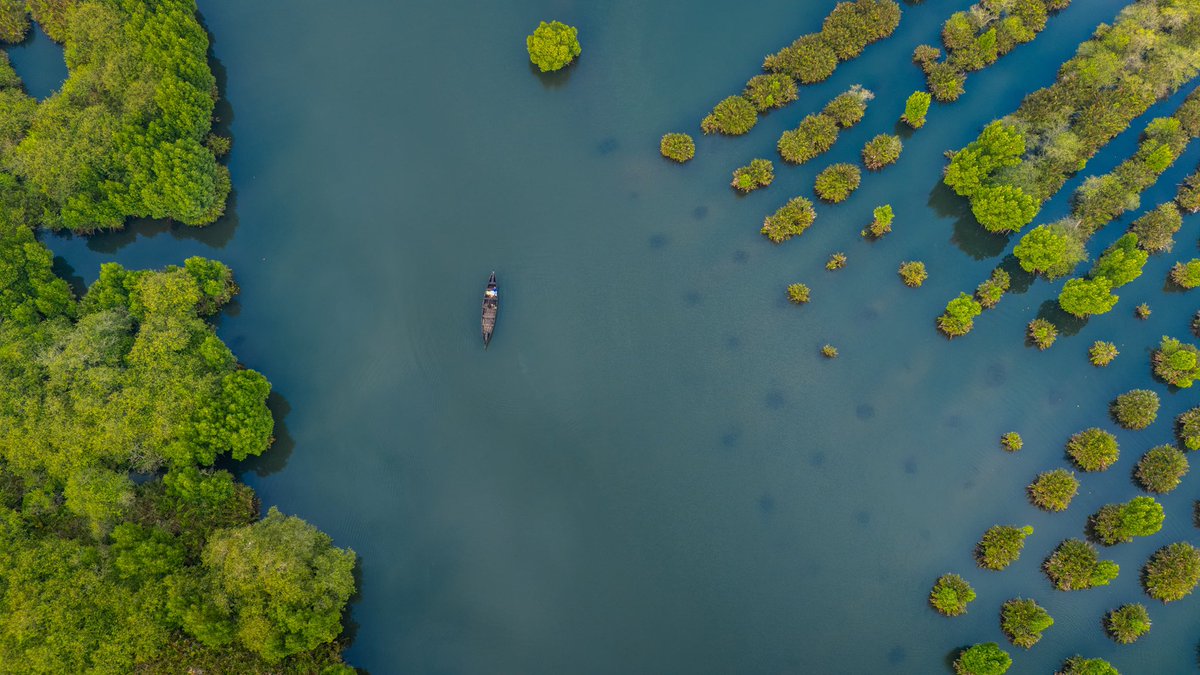 anandmahindra's tweet photo. An unabashed plug today for one of our @clubmahindra resorts.

Because one of the resorts, Club Mahindra Ashtamudi, showcases an incredibly beautiful part of our country.

Set where Ashtamudi Lake meets the quiet backwaters of Kerala, Munroe Island is a peaceful green escape in Kollam.

The open backwaters merge into
narrow canals, with the colour of the water changing through the day.

And as you move deeper, thick mangroves bend over the canals to form a natural green canopy

A journey there is a journey inside yourself…

#SundayWanderer
