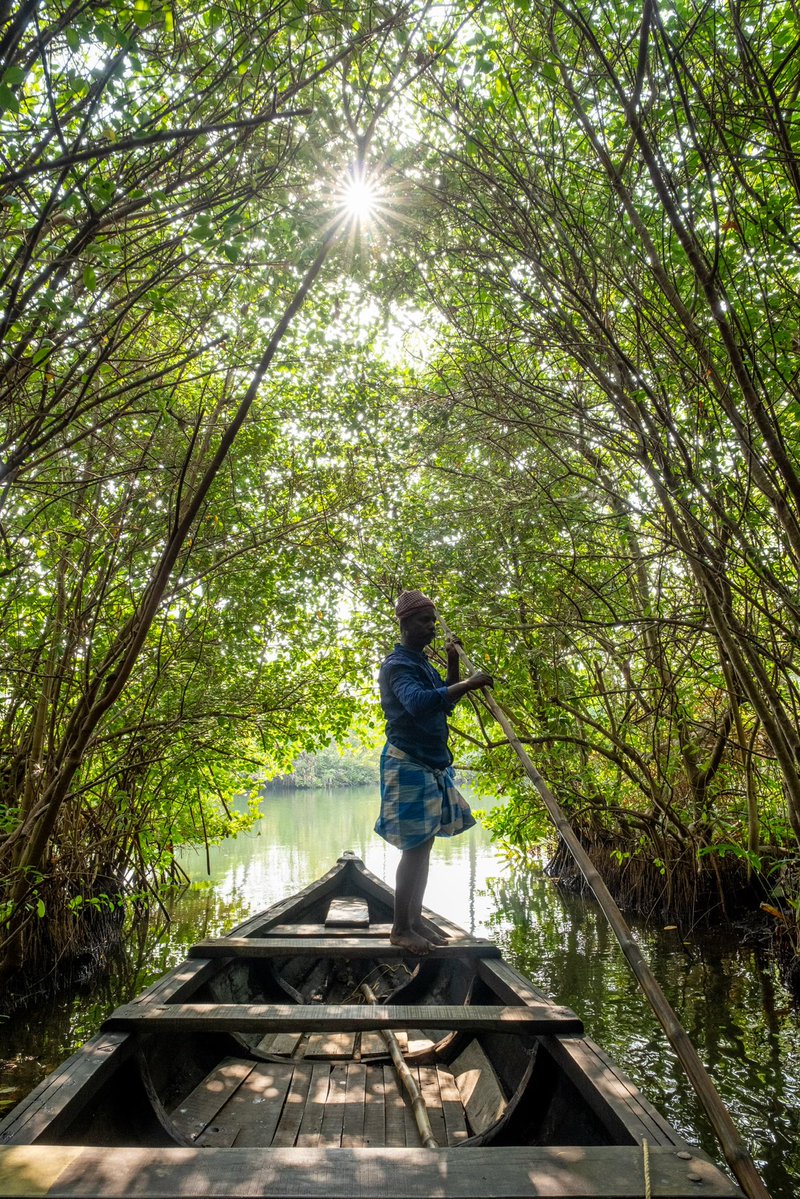anandmahindra's tweet photo. An unabashed plug today for one of our @clubmahindra resorts.

Because one of the resorts, Club Mahindra Ashtamudi, showcases an incredibly beautiful part of our country.

Set where Ashtamudi Lake meets the quiet backwaters of Kerala, Munroe Island is a peaceful green escape in Kollam.

The open backwaters merge into
narrow canals, with the colour of the water changing through the day.

And as you move deeper, thick mangroves bend over the canals to form a natural green canopy

A journey there is a journey inside yourself…

#SundayWanderer