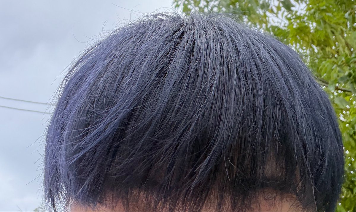 Nekoru874's tweet photo. Web面接で部屋なら黒なのでよしの色です https://t.co/tmoSffS2Rc