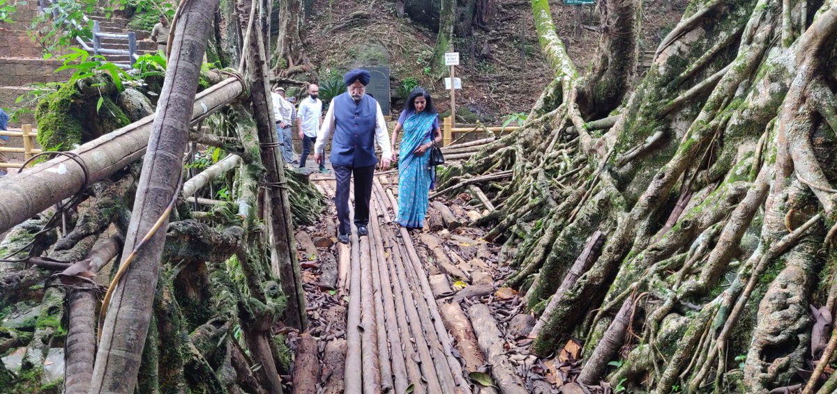 HardeepSPuri's tweet photo. Lakshmi and I were truly fascinated by the living root bridge in Nowhet Village tucked deep in the hills of Meghalaya during our visit to the beautiful Himalayan state in 2019. These bridges are architectural wonders of nature spanning across mountain streams. These structures reflect local wisdom and innovative use of indigenously available natural resources while conserving the environment and ecosystem.
#MannKiBaat 

@narendramodi 
@PMOIndia @mannkibaat @narendramodi_in @modiarchive @themodistory @PIB_India @PetroleumMin @mygovindia @MIB_India @MinOfCultureGoI @moefcc