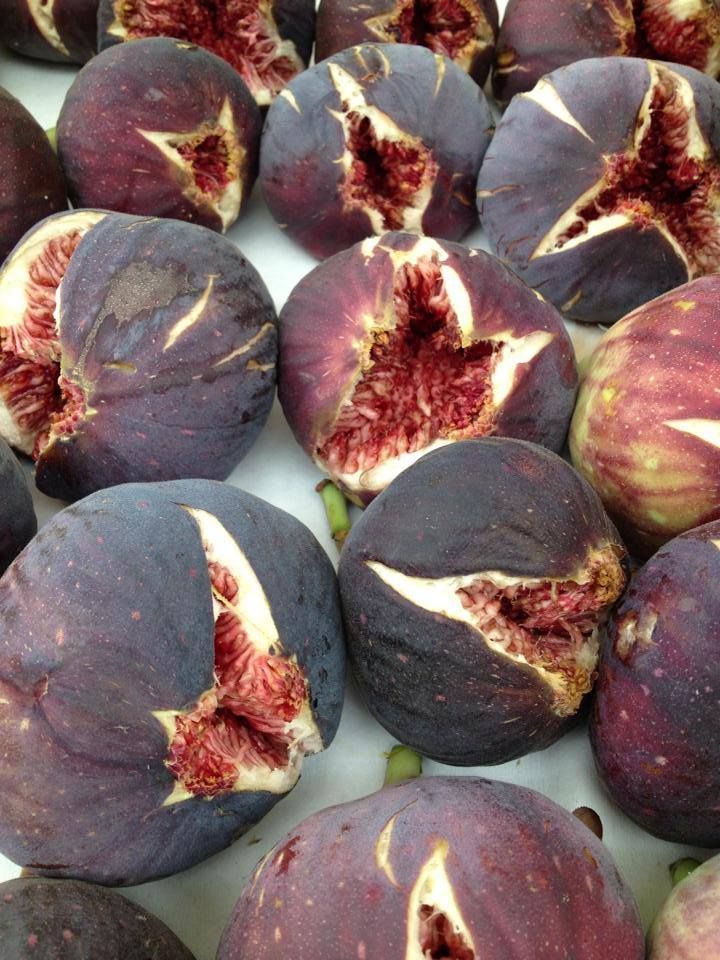 LandLover56's tweet photo. People keep guessing, but no one gets it right. Do you know what this is? https://t.co/9mYHW0vrVY