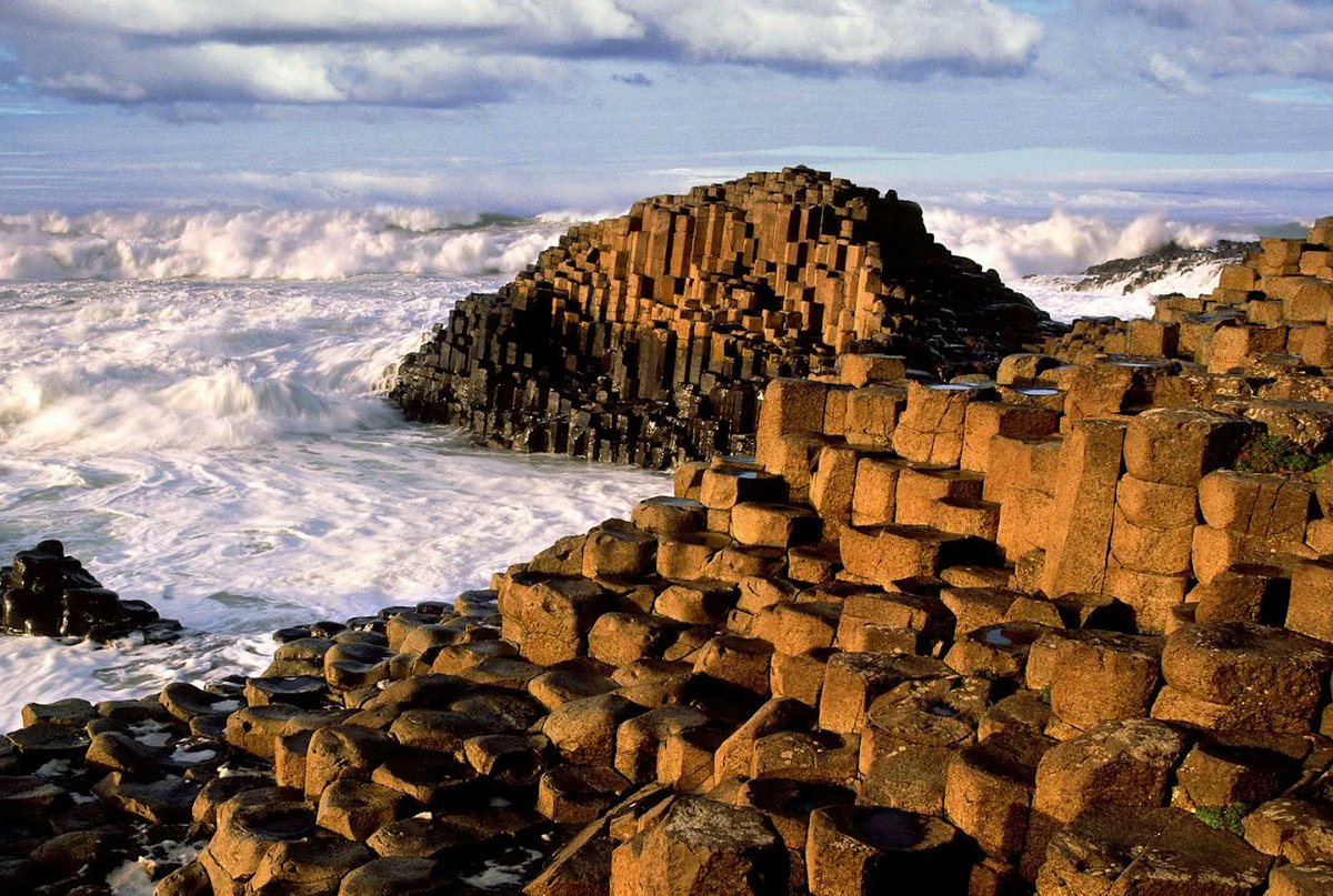 @UnearthedHQ Nature doesn't do random — it optimizes, and we mistake ...