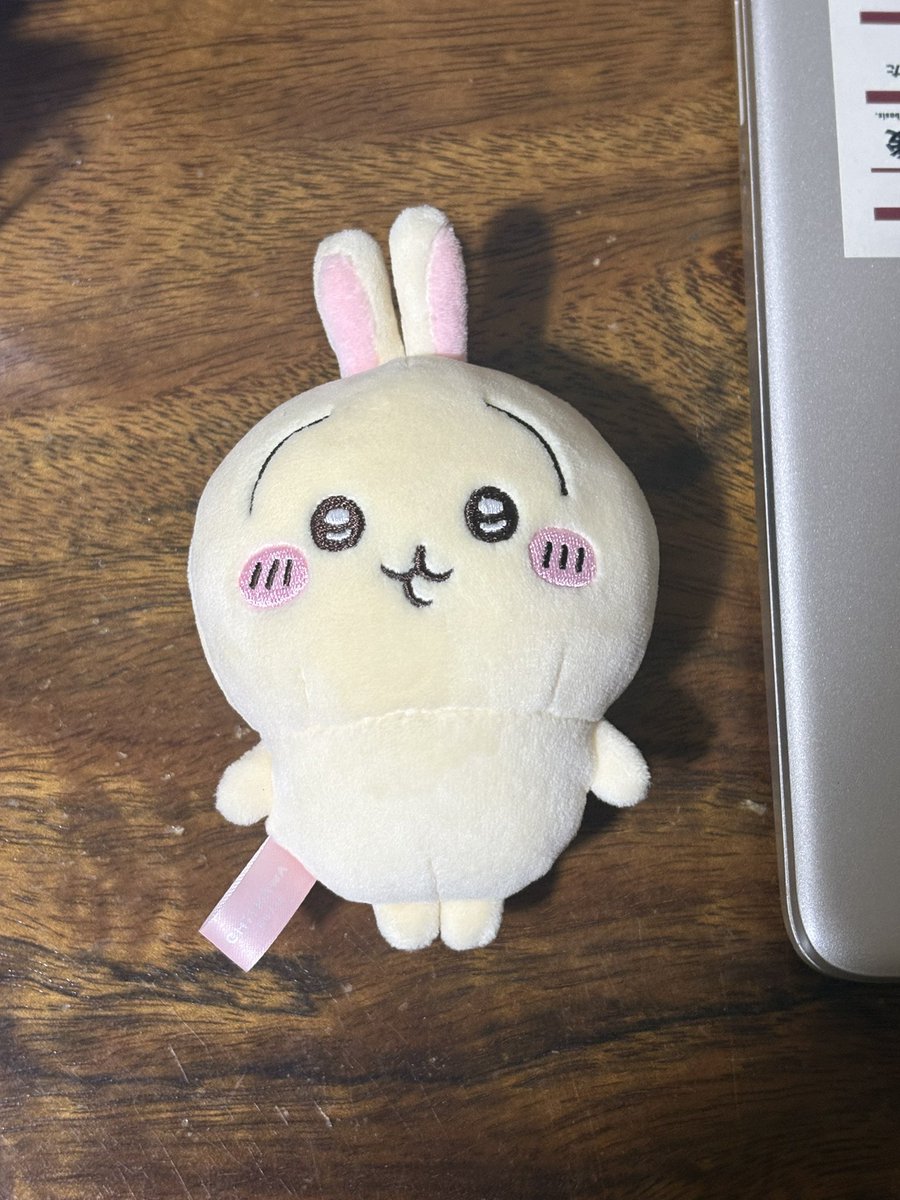 chu_files's tweet photo. ✦ — wts / Ifb! ャ 

🪽 ⌗  Miniso Usagi Plush Keychain ~

— mop: gcash / payo only !

— mod: j&amp;t !

☆ price: ₱300

💤 . . dm / reply if inch ! ^^

(TAG IS CUT OFF, ONLY USED 2 OR 3 TIMES BUT IN PERFECT CONDITION) 

 #chuxxingz  #usagi #miniso #wts #chiikawa https://t.co/OqUXz11fRF