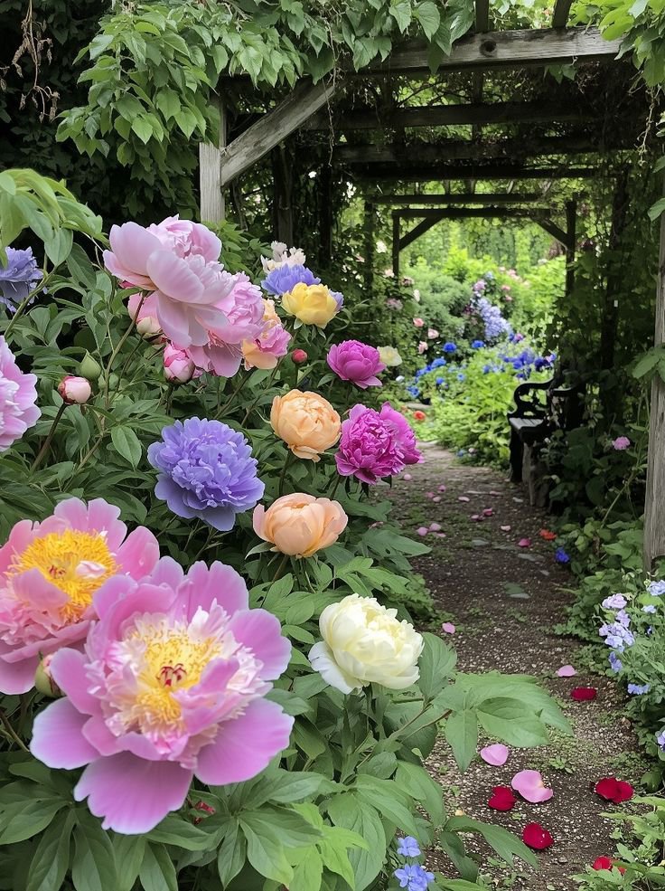 MariaAllen5a's tweet photo. https://t.co/wdsbpLk47h