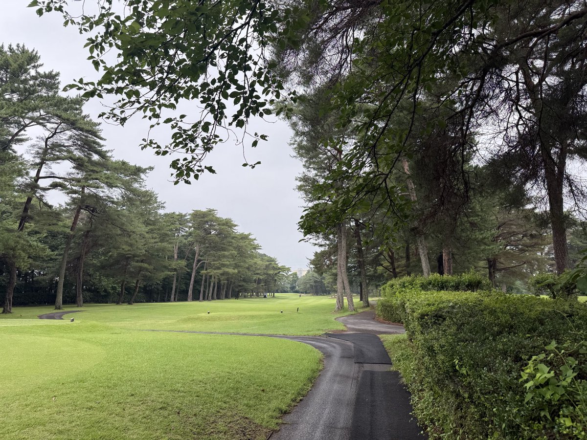 mep_b1's tweet photo. 久しぶりにゴルフ🏌️‍♀️ https://t.co/jole2ZYMah