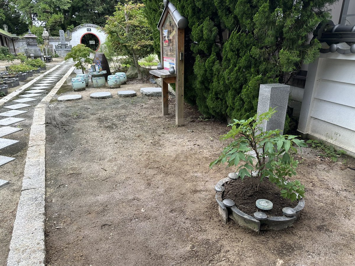 Mortar1561's tweet photo. できたーーー🌱🌸 https://t.co/JjlfwsHmNg
