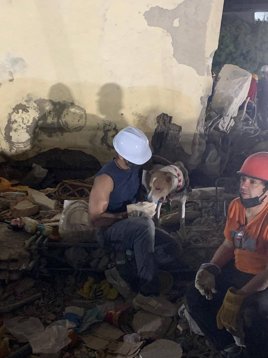 AngelMoreno_LM's tweet photo. Hoy no pude bajar a La Guaira. Ayudamos hasta la mañana al volver de La Guaira y dormimos dos horas para continuar. No logramos bajar a La Guaira, pero continuamos acá.

Por favor, sigan enviando insumos médicos a la iglesia. Hoy llegaron equipos de Turquía y muchos colaboradores https://t.co/zG0T8QOwkJ