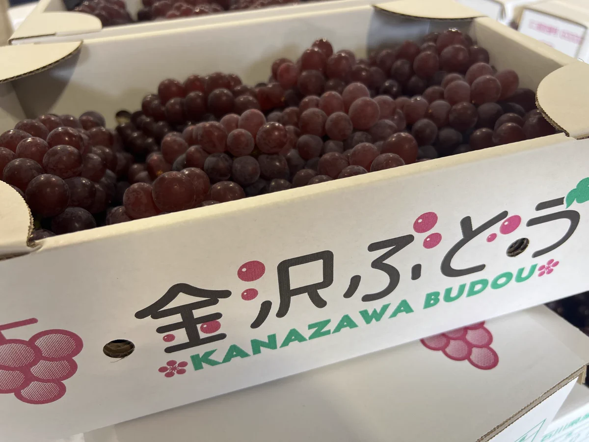 JA金沢市【公式】金沢から国消国産推し！ (@ja_kanazawa) / X