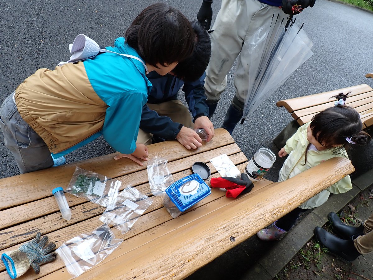 HitachiCity_Zoo's tweet photo. 今年も、大人気企画「かみね昆虫図鑑をつくろう！」を開催しました。あいにくの天気でしたが、たくさんの虫を見つけることができました。普段気づかないだけで、足元を探すとたくさんの発見があるかもしれませんね！
ご参加いただきありがとうございました！

#かみね動物園 #イベント https://t.co/mojnjGQjUr