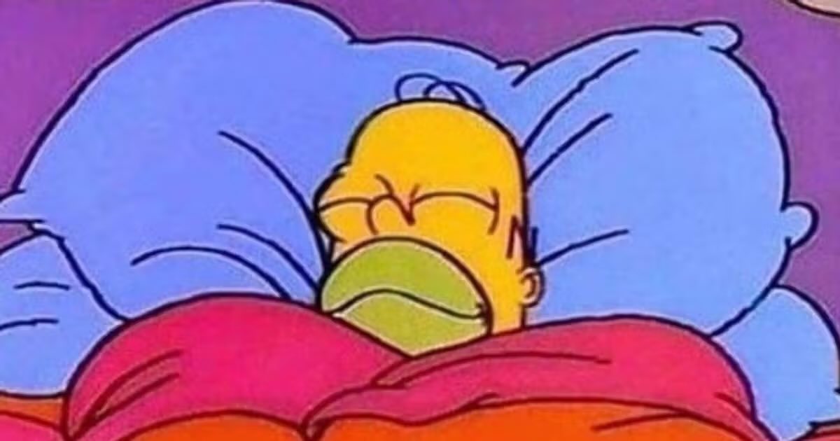 disc0_0verload7's tweet photo. How I’m sleeping tonight…. 🙂‍↕️🙂‍↕️ Goodnight!!! https://t.co/FfaeDGtgch