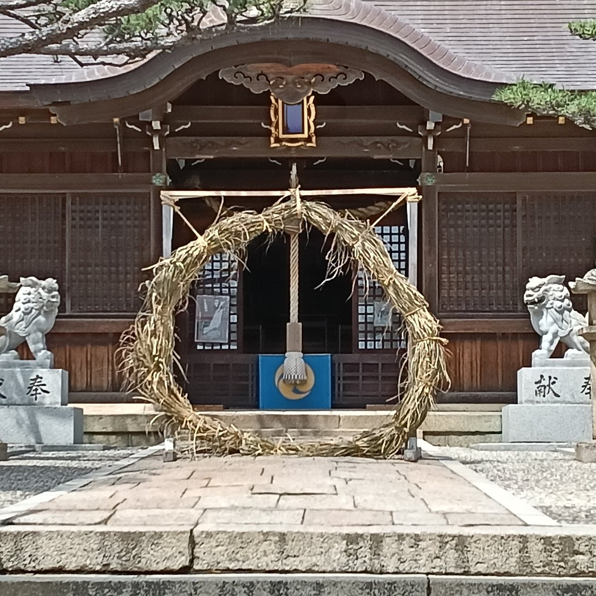 komorebiFP's tweet photo. 知り合いの近くの神社で、
「茅の輪くぐり（ちのわくぐり）」をしました。
半年間の厄を落とし、
無病息災を願うものらしいです。😊 https://t.co/y1PTZ9vinJ