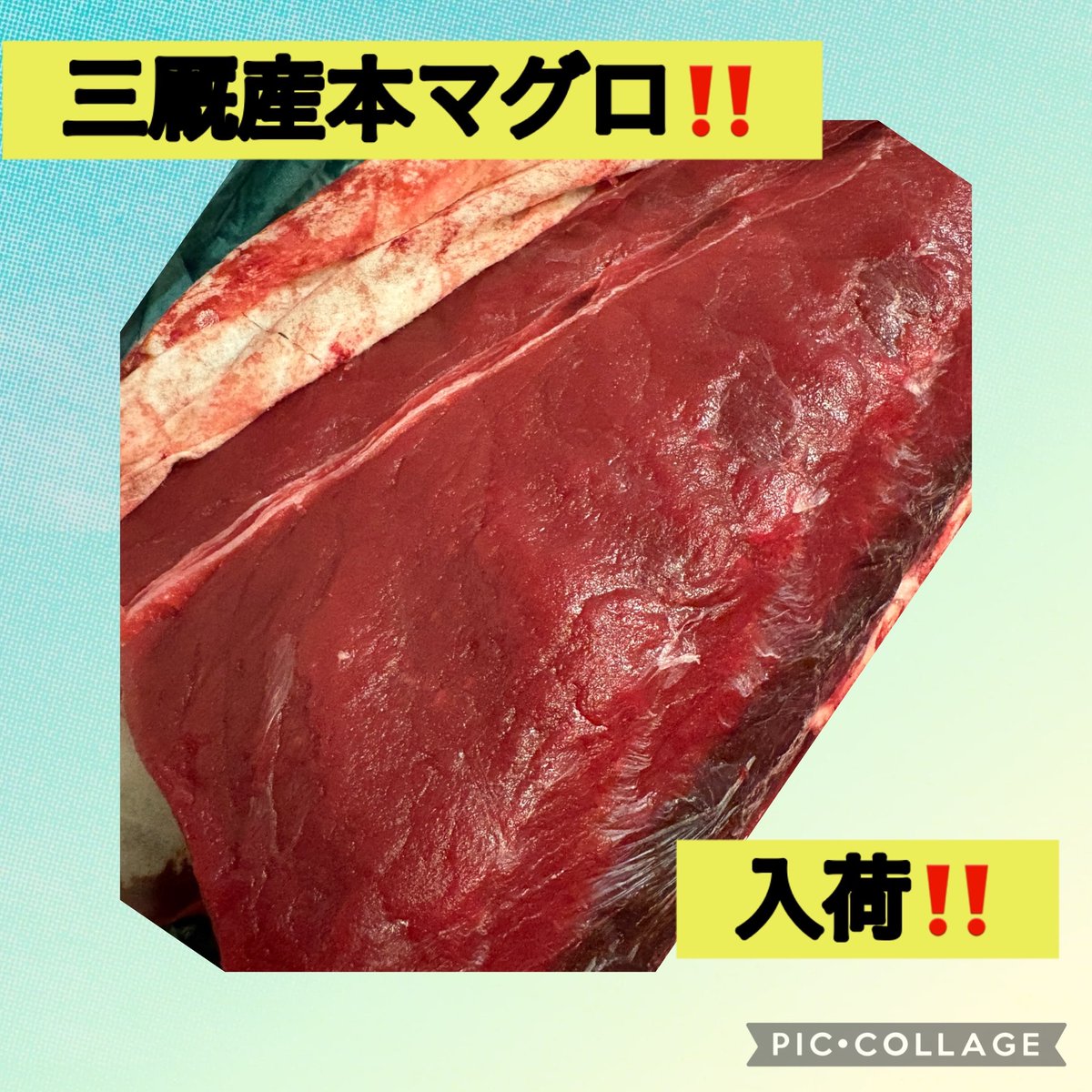 AomoriSouls's tweet photo. 青森Soulsです😊
青森三厩産本マグロ入荷‼️
刺身、ユッケ、たたきで提供します☺️
今日16時から営業してますo(^-^)o
#本マグロ
#青森Souls
#亀戸 https://t.co/BuhaF78xVw