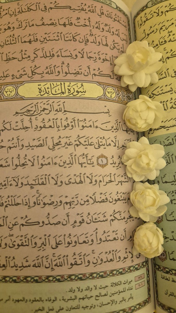 ftomah0's tweet photo. «من استفتحَ يومهُ بالقرآن سيجدُ توفيقًا في يومه، وبركةً في رزقه، وانشراحًا في روحه، وأُنسًا في صدره». https://t.co/aZ4jmKgGbY