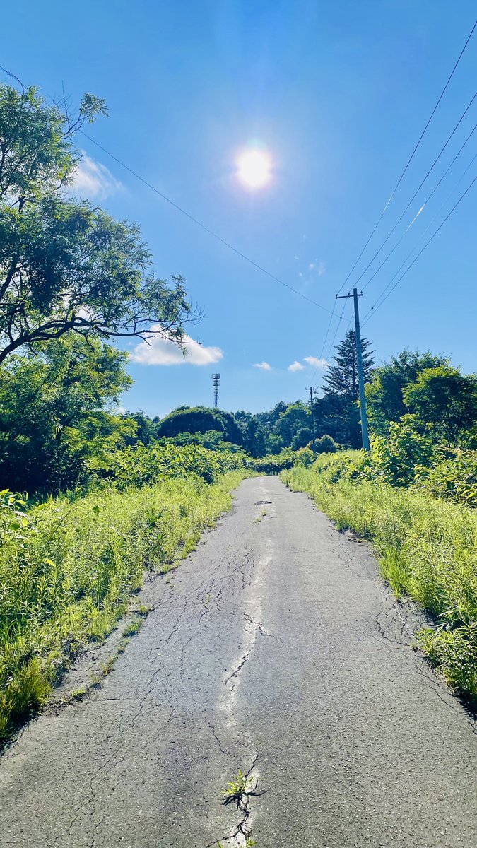 yuimaru's tweet photo. この先に
旧山の手児童公園
ラジオの音量最大にして
でも怖くなって引き返してきた🐻 https://t.co/IKWi36n9nC