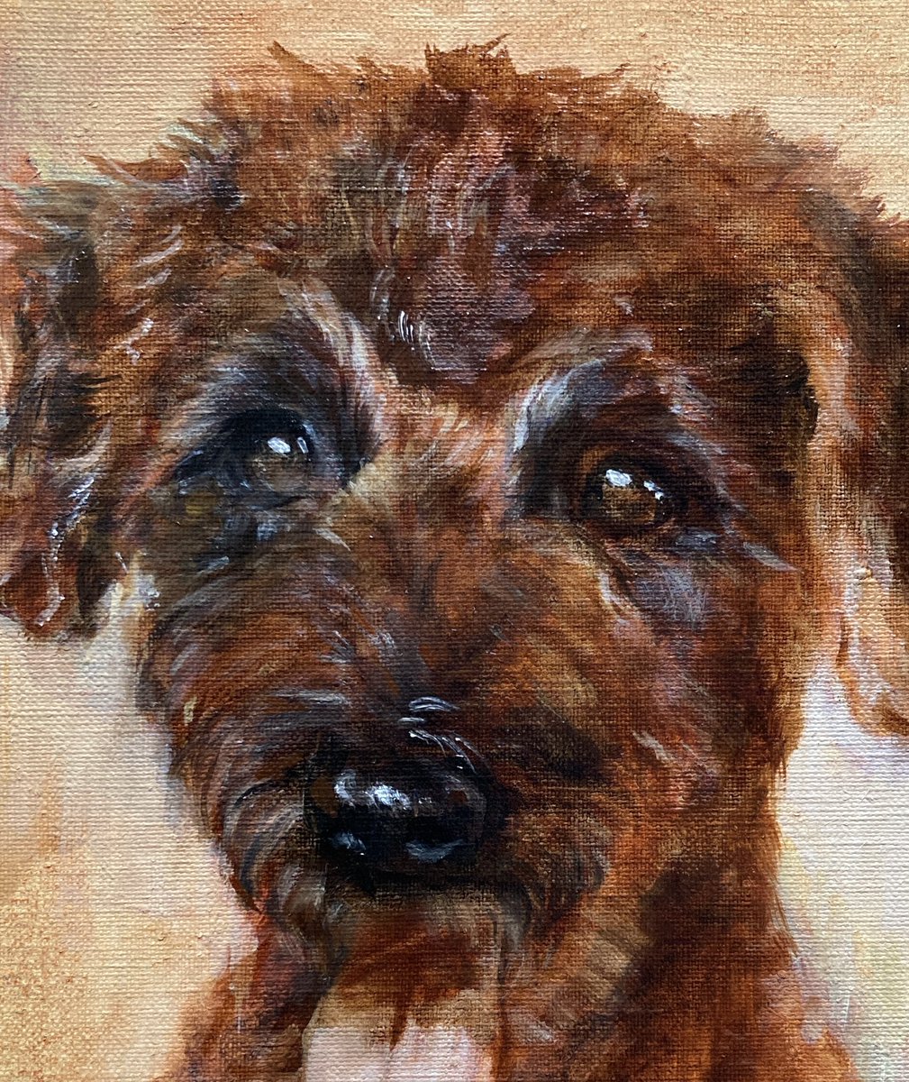 yu_painter's tweet photo. 今日はこちら🐶🎨
ハイライトで形を確認しつつ、マズルの傾きなど修正。固有色も入れ始め、この子の個性を掴みながら生き生きさせて…まだまだ微調整は続きます。ところが集中力が切れたとたん、違う犬種になってしまった。おっとっと。
ちょっと休憩☕️
#wip #油彩 https://t.co/vPjoVLegFh