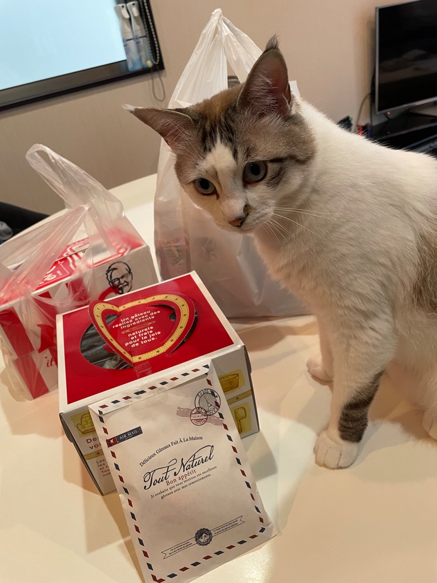 brk___013's tweet photo. 子供との連携で嫁さんを連れ出す事に成功したから、とりあえず買い出し行ってきた🛒

ケーキ、ケンタ、食材OK😎👍

しかし重大なミスに気がついた…
今この家には男とオスしかいない…
どう考えても娘を残すべきだった…

今から男２人・オス猫１匹でピザ＆ポテサラに挑戦します…😬 https://t.co/dEdG2nOjnJ