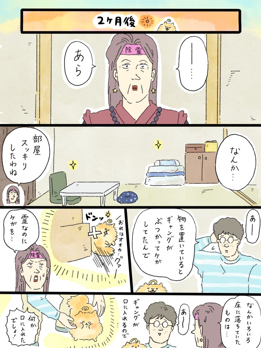 musashi_0303's tweet photo. 天国での暮らしはどうですか「ポメラニアンといっしょ」② https://t.co/RyczOlrMKF