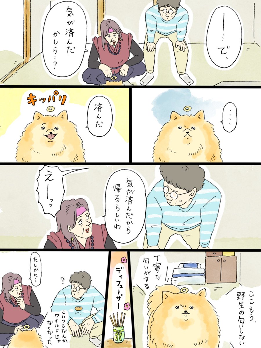 musashi_0303's tweet photo. 天国での暮らしはどうですか「ポメラニアンといっしょ」③ https://t.co/poMP2h4bmc