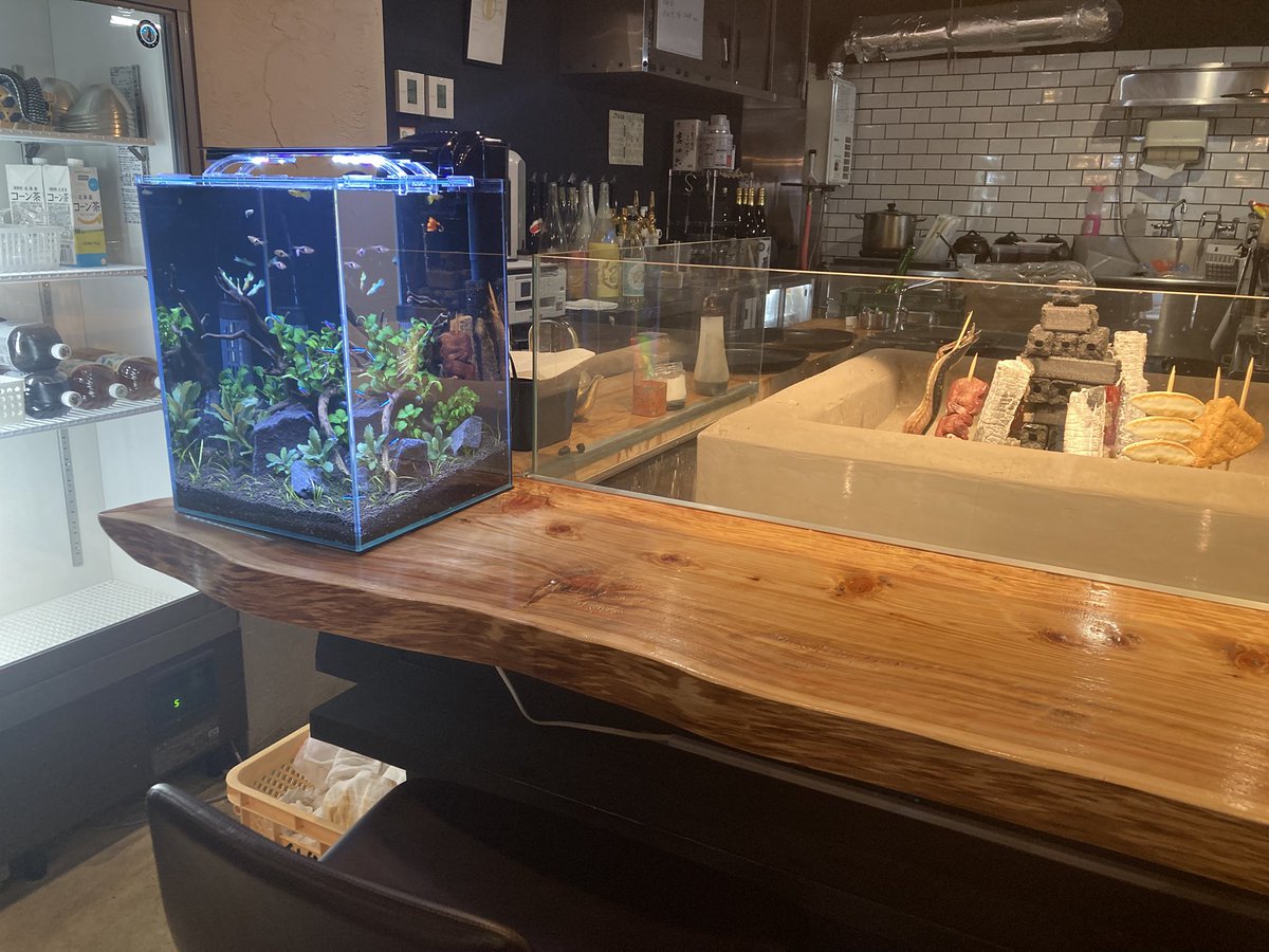 Aquaplus3468's tweet photo. 本日は、
一番町にある炉端焼きのお店、うる虎様のカウンター席に水槽を設置させていただきました🙆‍♂️
30×30×40cmの縦長なタイプです！
カウンター席からは炉端と水槽を一緒に眺めてお食事の時間をお過ごしください👍

#アクアリウム #宮城県 #仙台 #仙台水槽 #仙台水槽メンテナンス https://t.co/5DxLtrXDo2