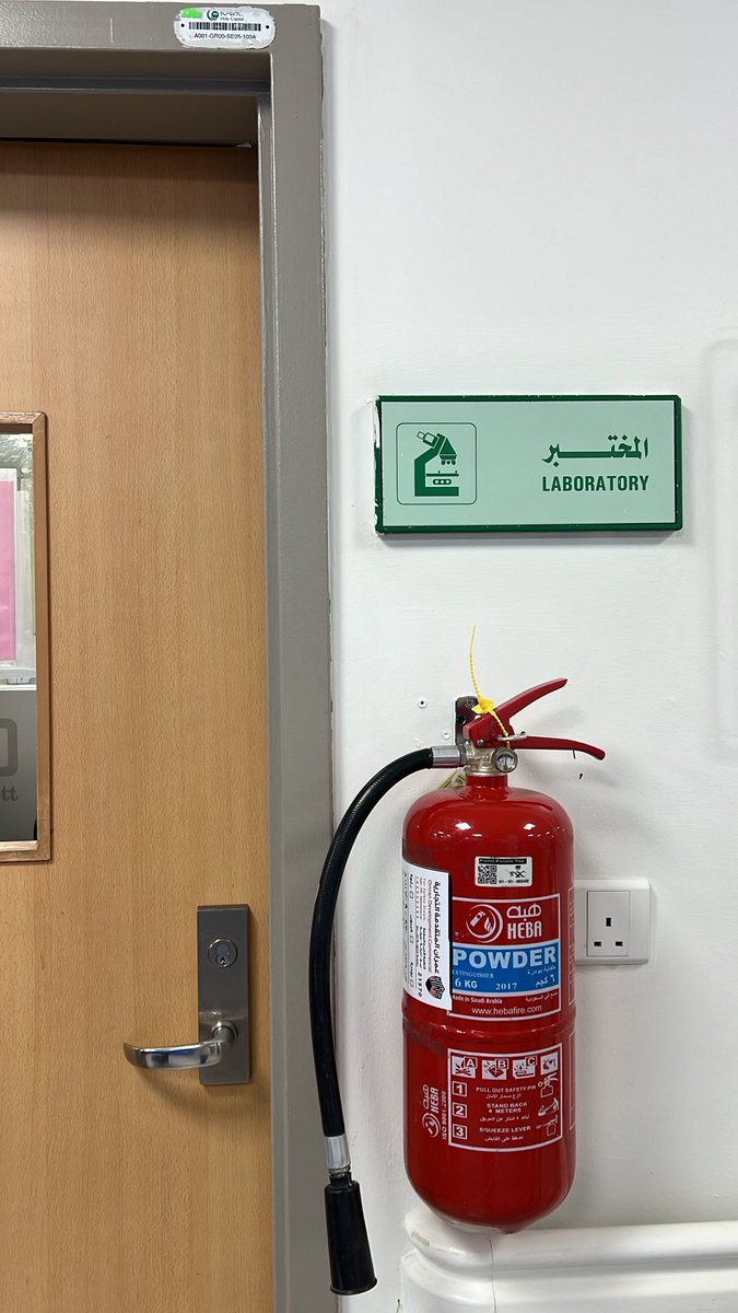 ilonr9's tweet photo. 28.6.2026
First day in internship🔬 https://t.co/gWm5acQeCy
