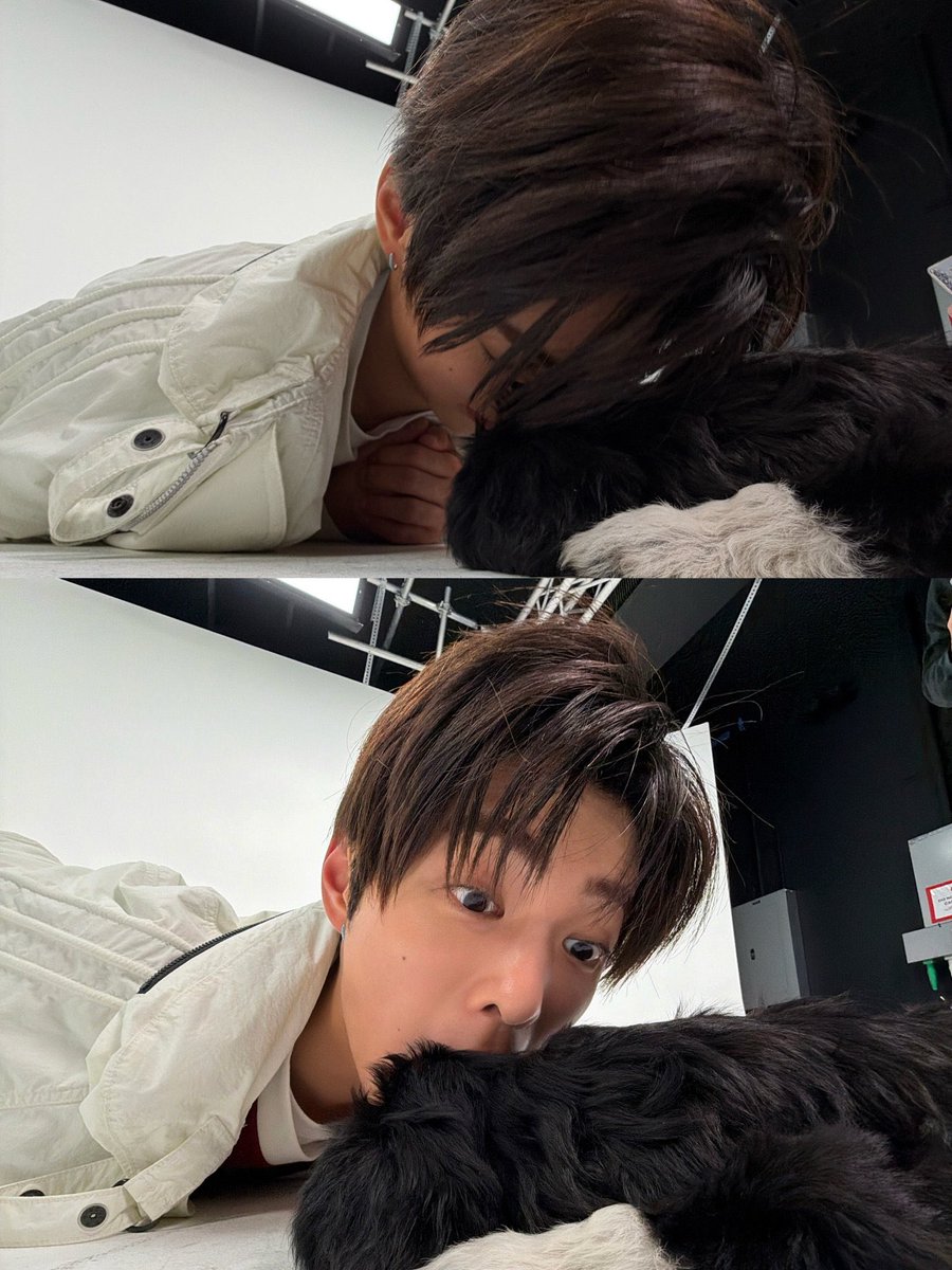fleurjju's tweet photo. ini yang puppy yang mana yaaaaaaaa tolong https://t.co/1jvBjyNgcM