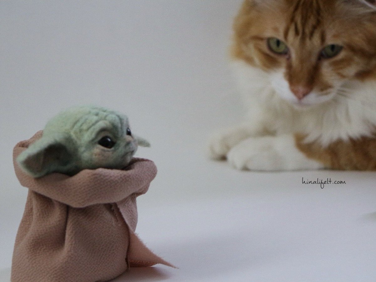 hinalifelt's tweet photo. そろり

猫と羊毛フェルトは相性があまりよくありません

#グローグー #Grogu https://t.co/rNYQpek4lL