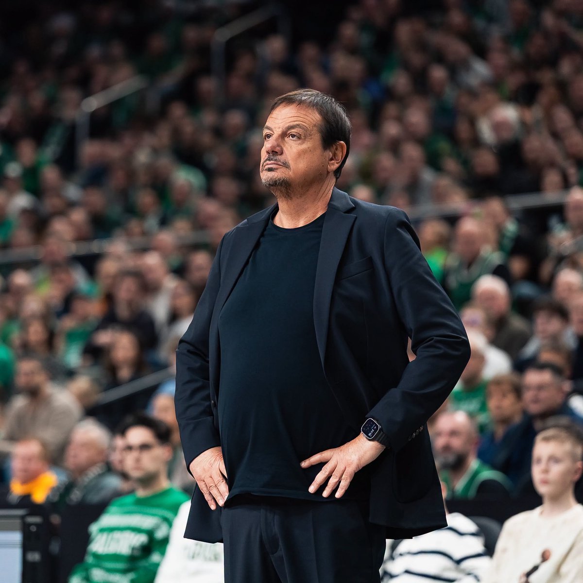 NobleBball's tweet photo. 👔 Real Madrid'de koltuğu sallantıda olan Sergio Scariolo'nun geleceği henüz kesinleşmedi.

🔥 Scariolo ile yola devam edilmezse, koçluk koltuğu için, en ciddi adaylar Ergin Ataman, Ioannis Sfairopoulos ve Velimir Perasovic. (@MarcaBasket) https://t.co/g2E5GtOl6j
