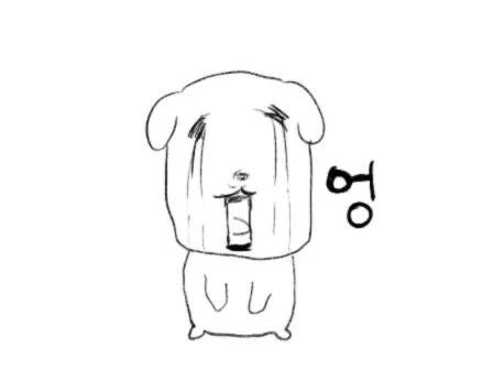 뿡빵 tweet media