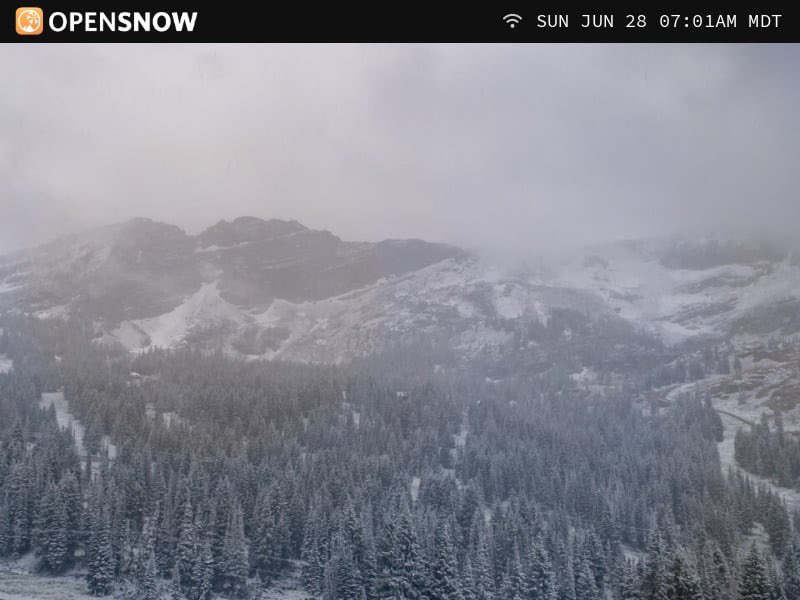 WasatchSnow's tweet photo. Fresh SNOW in the high Wasatch this morning https://t.co/tqLBbK3bem