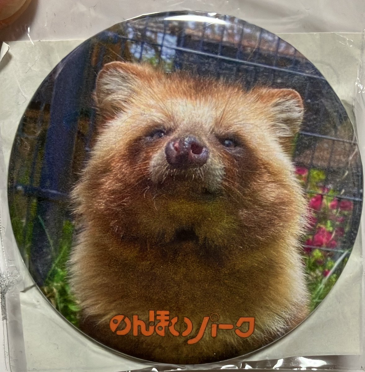 gomakomame (@gomakomame) / Posts / X