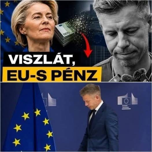 JSmohay's tweet photo. @ToroczkaiLaszlo Az volna valószínűleg ország legjobb hs egy mingrás buzi bandája fogadná örökbe Poloskát haza árulót telefon rablót csodálatos öröm volna az országnak reméljük hogy össze jön 💩💩💩💩💩💩💩💩
Isten adja... Ámen https://t.co/jwHaHgyrTu