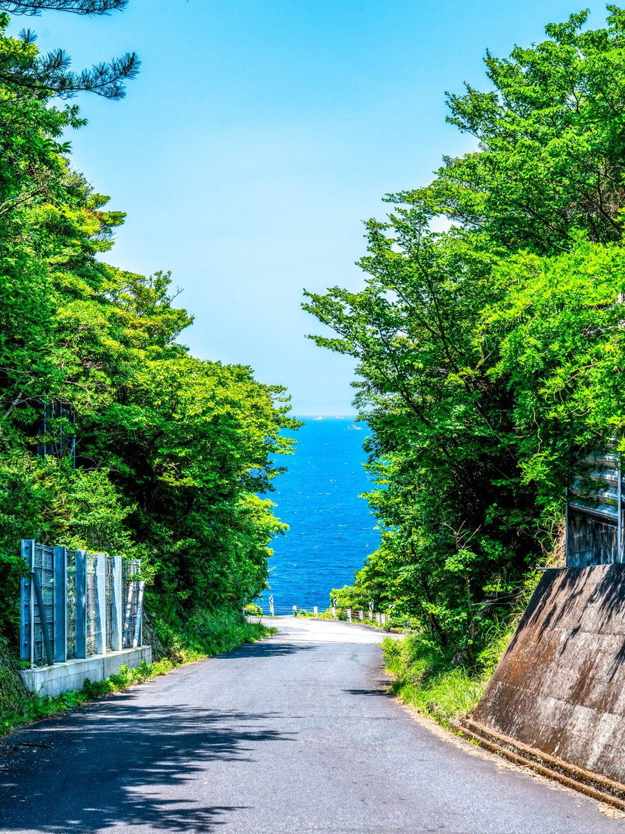 aybena's tweet photo. 海の見える坂道で https://t.co/hq6LW6Qhc1